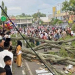 Korban Meninggal Akibat Pohon Beringin Tumbang di Alun-alun Pemalang Bertambah 3 Orang 9 Korban Meninggal Akibat Pohon Beringin Tumbang di Alun-alun Pemalang Bertambah 3 Orang