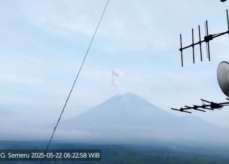 Gunung Semeru Erupsi Dua Kali Kamis Pagi, Kolom Abu Capai 700 Meter 1 Gunung Semeru Erupsi Dua Kali Kamis Pagi, Kolom Abu Capai 700 Meter