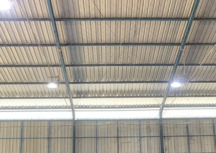 SMK Muhammadiyah Kajen Raih Juara Futsal MILAD ke-6 UMPP 2025 1 SMK Muhammadiyah Kajen Raih Juara Futsal MILAD ke-6 UMPP 2025