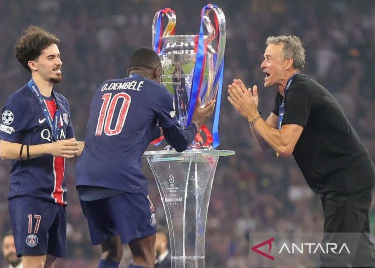 Daftar terbaru juara Liga Champions: PSG sukses pecahkan rekor 2024/25 1 Daftar terbaru juara Liga Champions: PSG sukses pecahkan rekor 2024/25