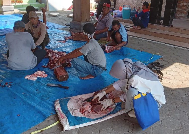 Dinas Pertanian Kudus Temukan Cacing Hati pada 3 Hewan Kurban