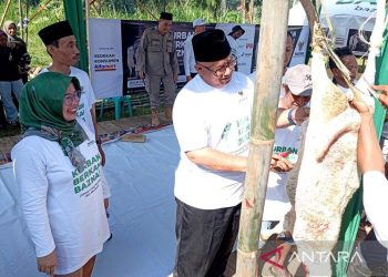 Baznas Kurban 7.000 Hewan di 10 Provinsi, Banyumas Terima 150 Ekor Kambing